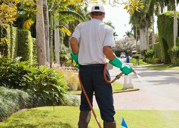 About Laurel NY Pest Control Pros